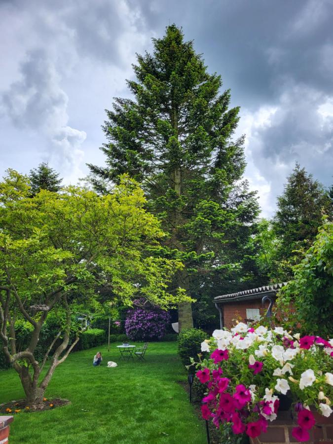 Westkueste Ferienwohnung Heide  Esterno foto