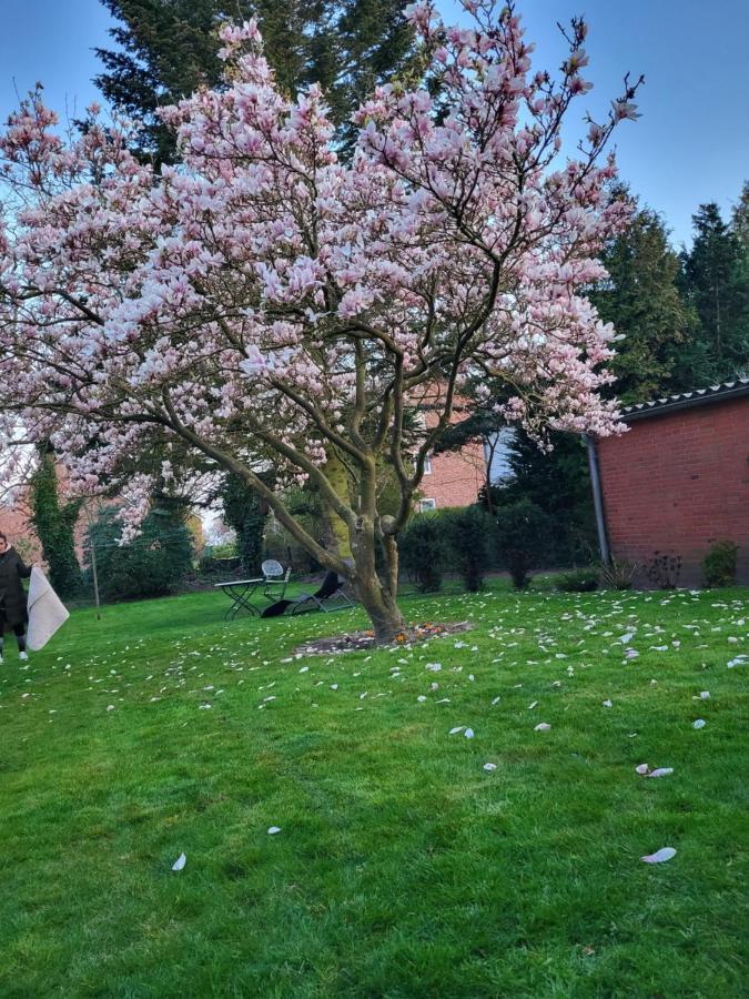 Westkueste Ferienwohnung Heide  Esterno foto